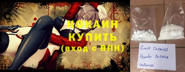 молекула духа Богородицк