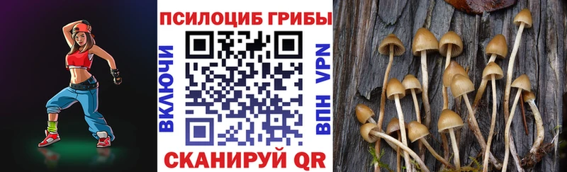 shop наркотические препараты  MEGA ССЫЛКА  Верхоянск  Псилоцибиновые грибы Cubensis 